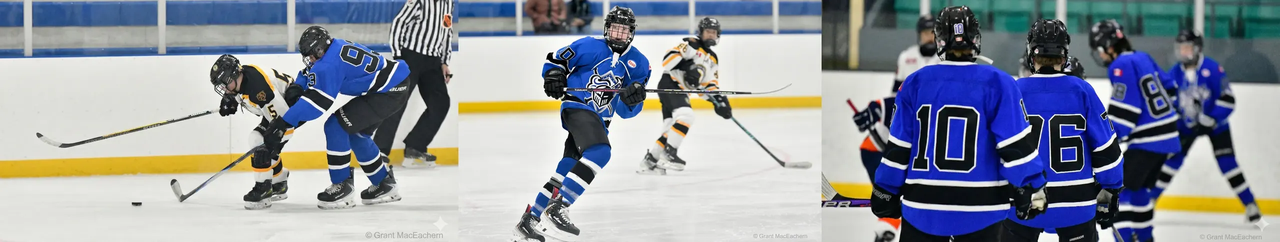 About the North York Knights