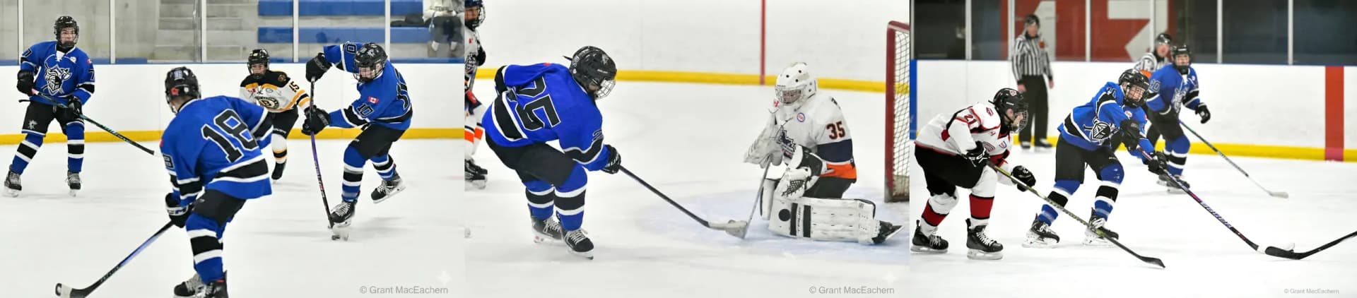 NORTH YORK KNIGHTS