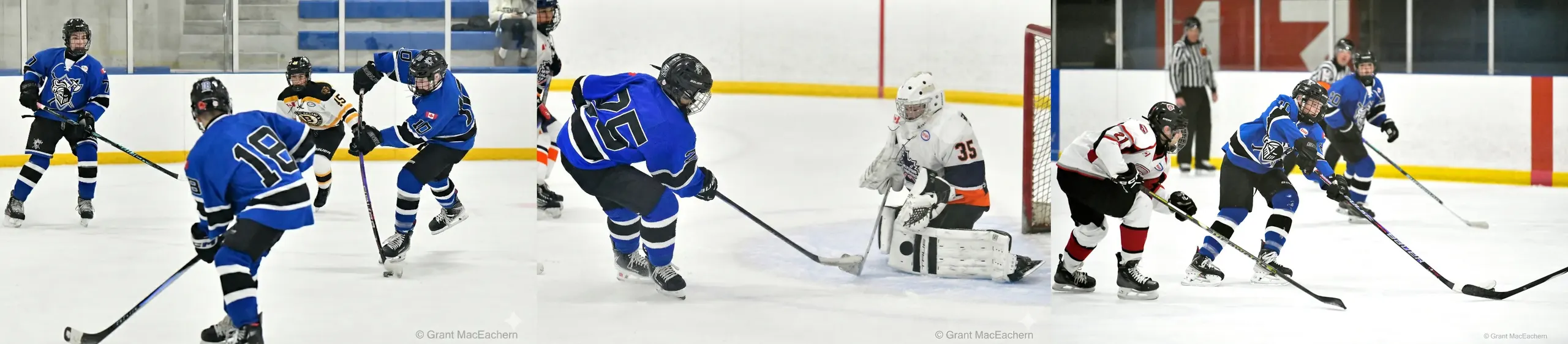 NORTH YORK KNIGHTS