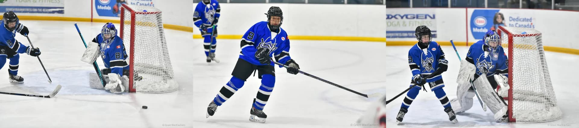 North York Knights